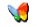 MSN
