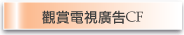 �����q���s�iCF