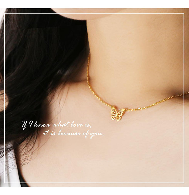 B455_06jpg750.jpg (750��772)